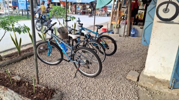 Bicycles - Image 2